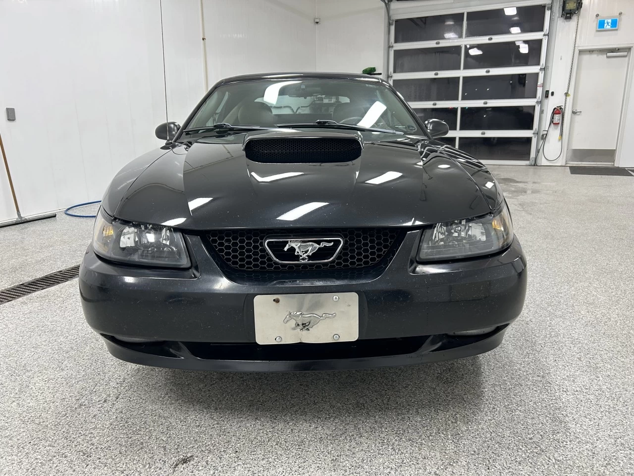 2003 Ford Mustang GT Image principale