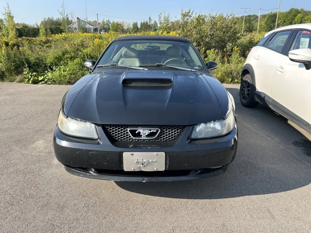 Ford Mustang GT 2003