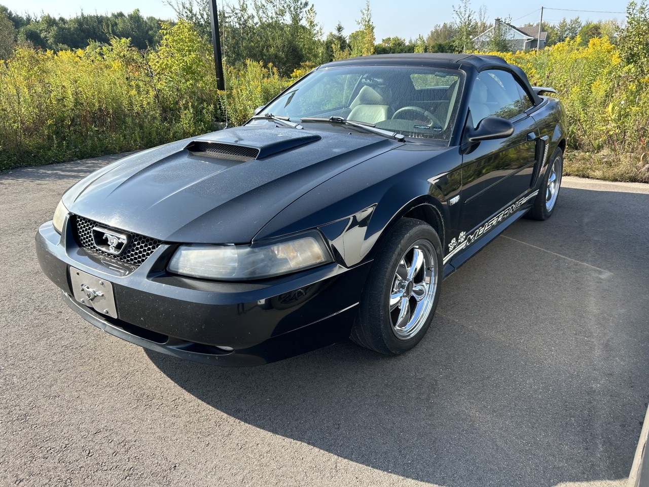 Ford 2003 Mustang GT